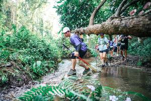 BIB: 
                            <button type="button" onclick="openModal(25478334)" class="btn btn-primary btn-sm float-right btn-popup" data-toggle="modal" data-target=".modal-high-quality">
                        <i class="fas fa-shopping-cart"></i> Add to Cart
                    </button>
                                            <button type="button" onclick="isThisMe(25478334, true)" class="btn btn-success btn-sm float-right btn-popup btn-isme hidden" data-toggle="tooltip" data-placement="bottom" title="นี่คือรูปของคุณใช่ไหม คลิกที่นี่เพื่อเอาเข้าอัลบั้ม">
                        <i class="fas fa-plus"></i> Add to album
                    </button>
                    <button type="button" onclick="isThisMe(25478334, false)" class="btn btn-warning btn-sm float-right btn-popup btn-isnotme hidden">
                        <i class="fas fa-ban"></i> Remove from album
                    </button>